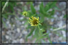 comp_DSC01627.webp