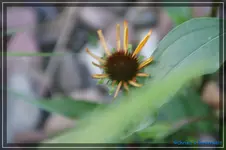 comp_DSC01628.webp