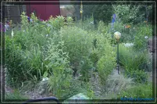 comp_DSC01631.webp
