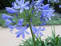 Bilda 0556.webp