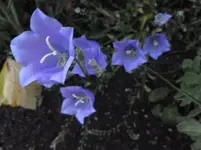 P1130888.webp