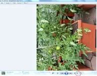 Fotoanzeige.webp