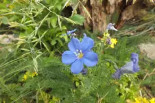 2014_0614Frühling0003.webp