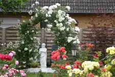 P6141636.webp