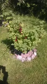 WP_20140614_012.webp