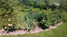 WP_20140614_010.webp