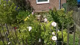 WP_20140614_017.webp