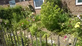 WP_20140614_018.webp