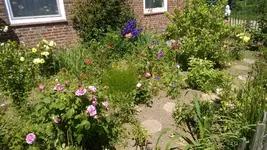 WP_20140614_019.webp