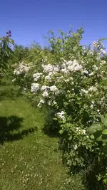 WP_20140614_013.webp