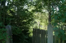 001.webp