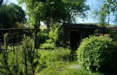 003.webp