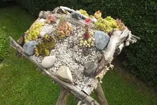 2014_0612Frühling0008.webp