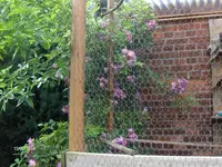 HPIM0707.webp