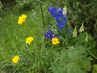 HPIM0719.webp