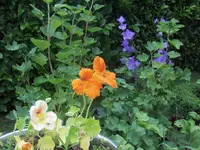HPIM0725.webp