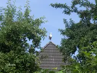 HPIM0702.webp