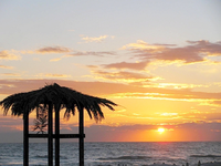 apfelmus in Italien.webp