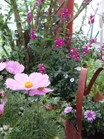58b.webp
