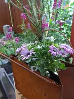 58c.webp