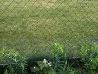DSCN1173[1].webp