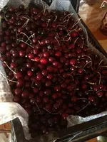 Kirschen2.webp