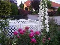 DSCF3091.webp