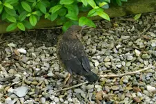 DSCN7222.webp