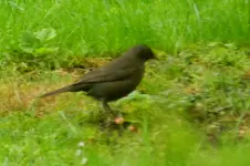 DSCN7236.webp