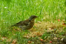 DSCN8963.webp