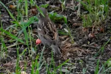 DSCN9000.webp