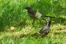 DSCN9029.webp