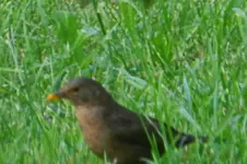 DSCN9044.webp