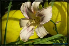comp_DSC01640.webp