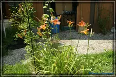 comp_DSC01642.webp