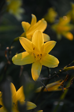 DSC_1892.webp