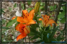 comp_DSC01646.webp