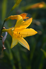 DSC_1893.webp