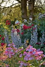 DSC_1876.webp