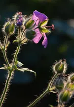 DSC_1886.webp