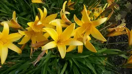 Test 002.webp