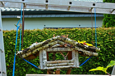Vogelhaus mit der Winde angehoben_640.webp