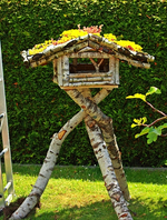 Vogelhaus auf neues Untergestell aufgesetzt und montiert_500.webp