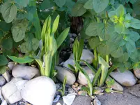 DSCN8626.webp