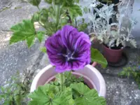 BILD2964.webp