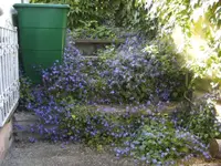 BILD2931.webp