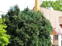 DSCN8627.webp