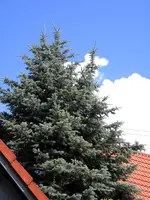 DSCN8628.webp