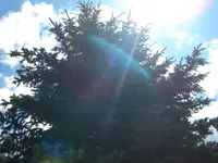 DSCN8631.webp