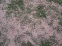 20140616_123354.webp